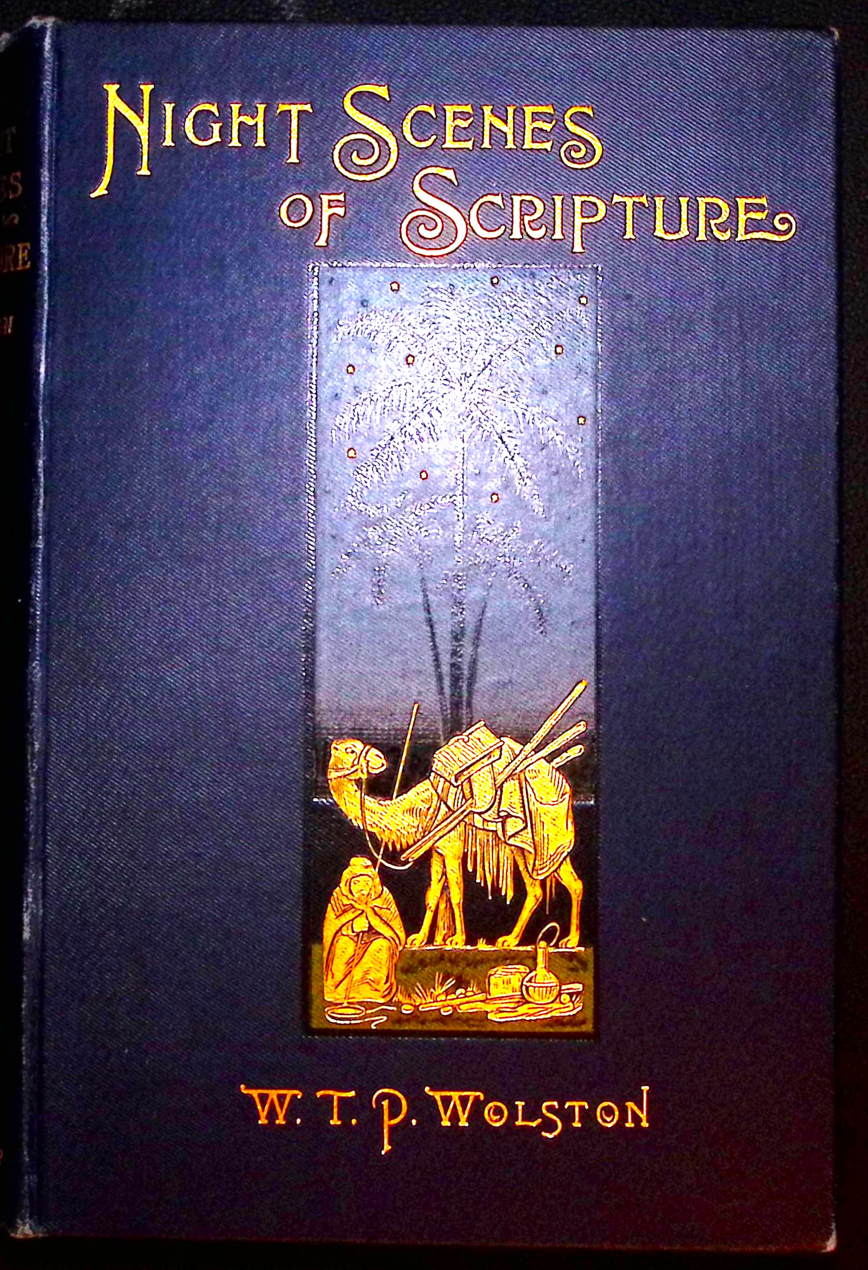 Night Scenes of Scripture.