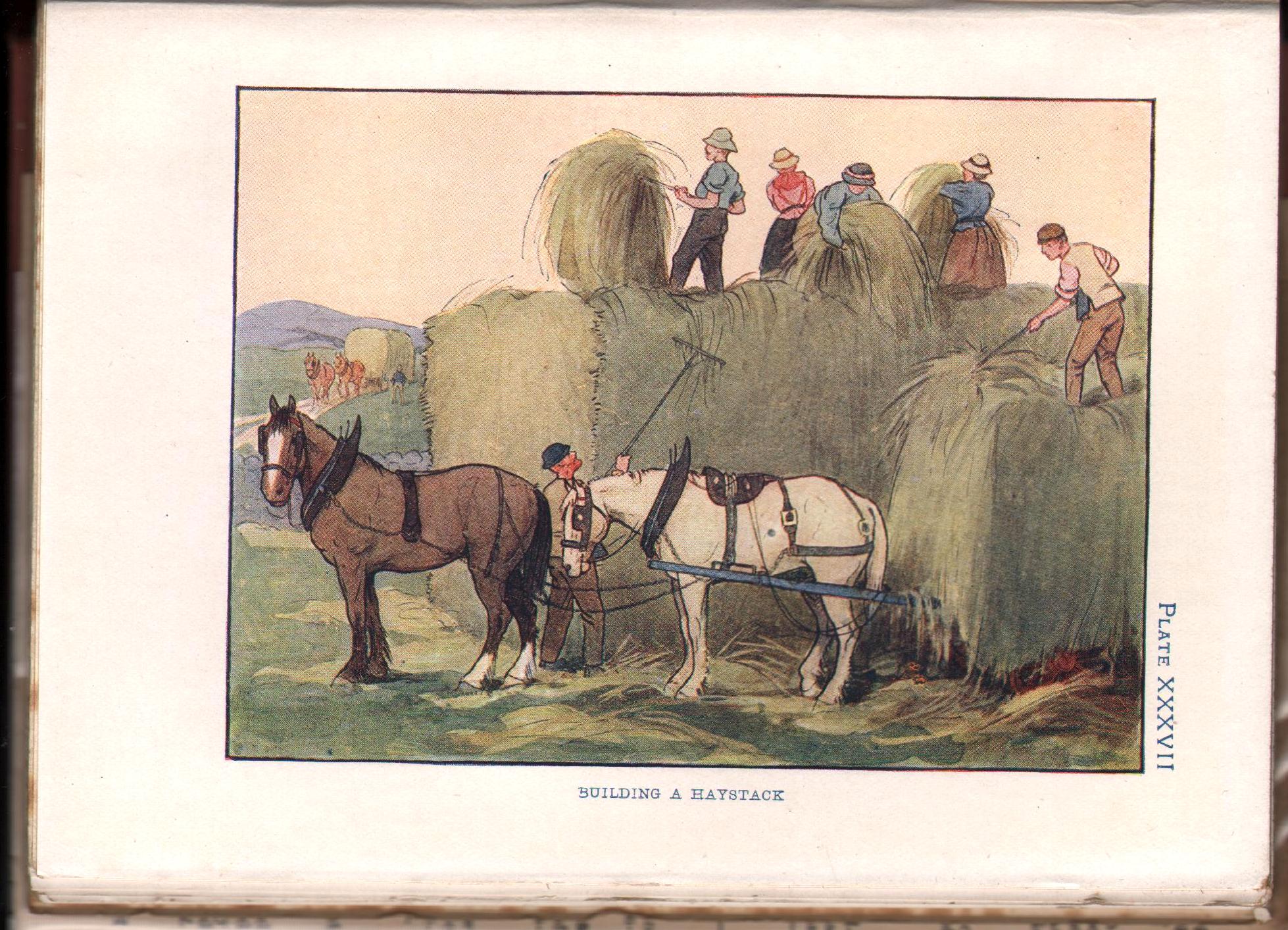 Image for The Farm Shown to the Children. (Described by Foster Meadow). The Farm Shown to the Children. (Described by Foster Meadow).