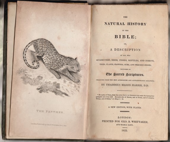 Image for A Dictionary Of The Natural History Of The Bible; Or, A Description Of All The Quadrupeds, Birds, Fishes, Reptiles, And Insects, Trees, Plants, Flowers, Gums And Precious Stones, Mentioned In The Sacred Scriptures...
