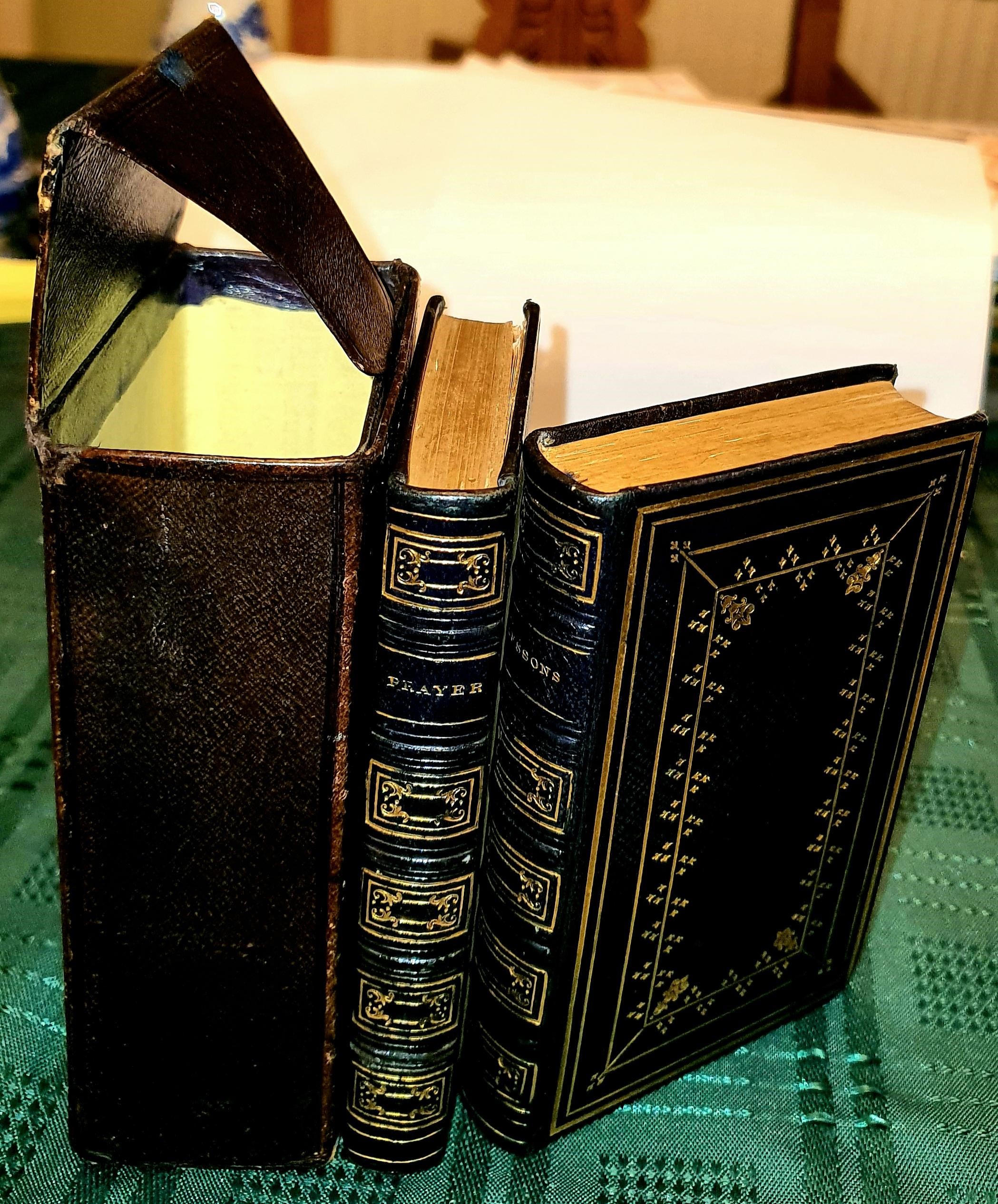 Image for The Book Of Common Prayer, And Administration Of The Sacraments, And Other Rites And Ceremonies Of The Church... / Proper Lessons To Be Read At Morning and Evening Prayer On The Sundays And Other Holy-Days Throughout The Year.