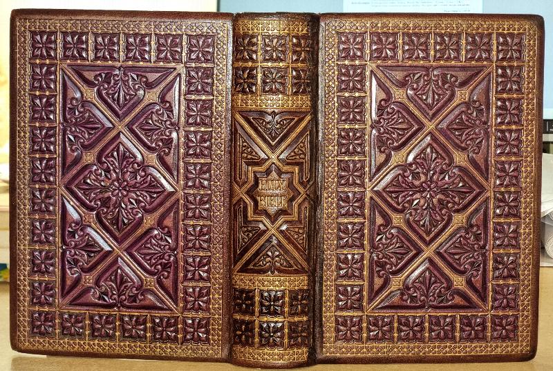 Image for The Holy Bible containing the Old and New Testaments. Illustrated by a selection from Raphael's Pictures In The Vatican Freely Adapted And Drawn On Wood By Robert Dudley.