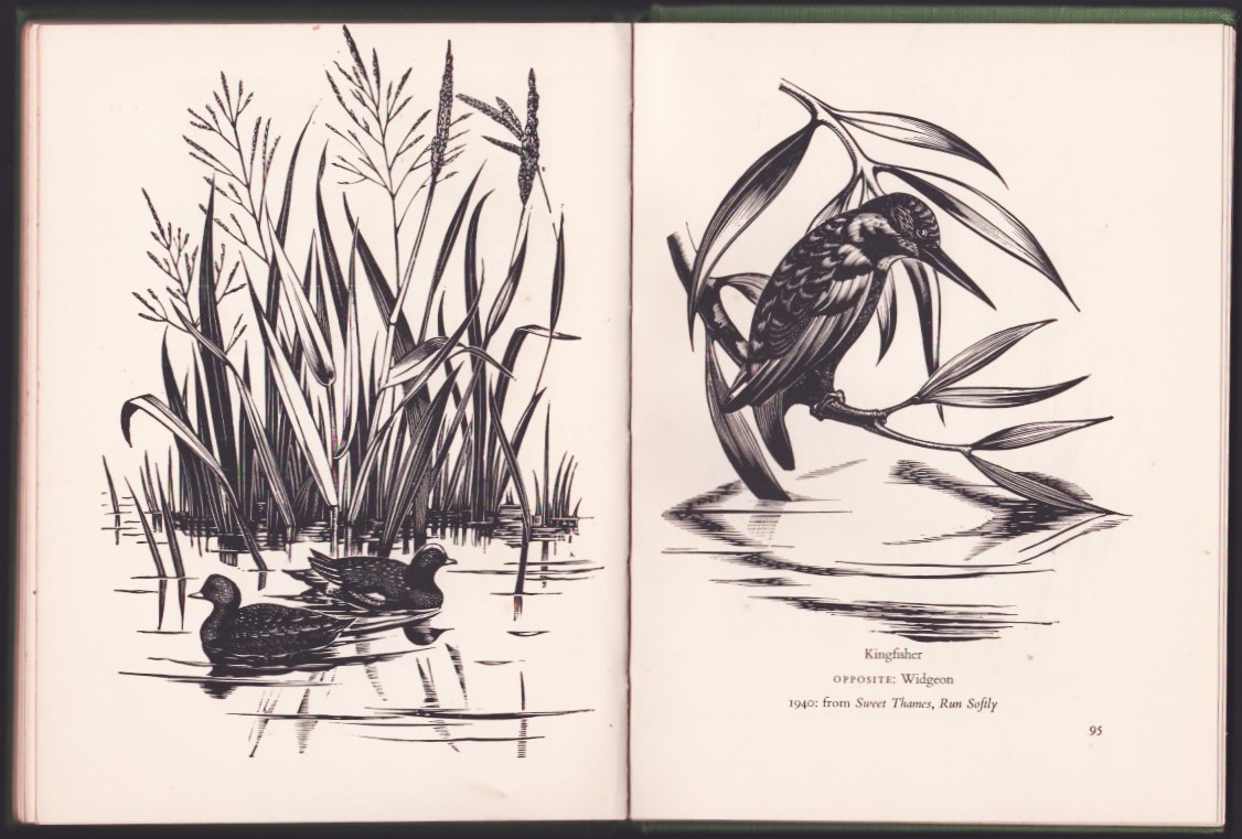 Image for The Wood-Engravings of Robert Gibbings.
