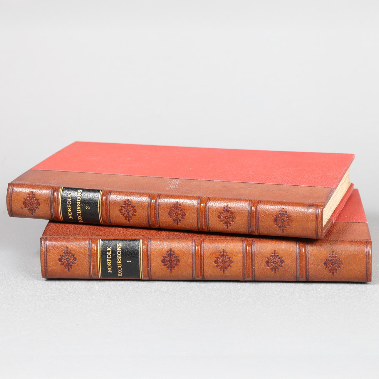 Excursions in the County Of Norfolk. (2 Volumes).