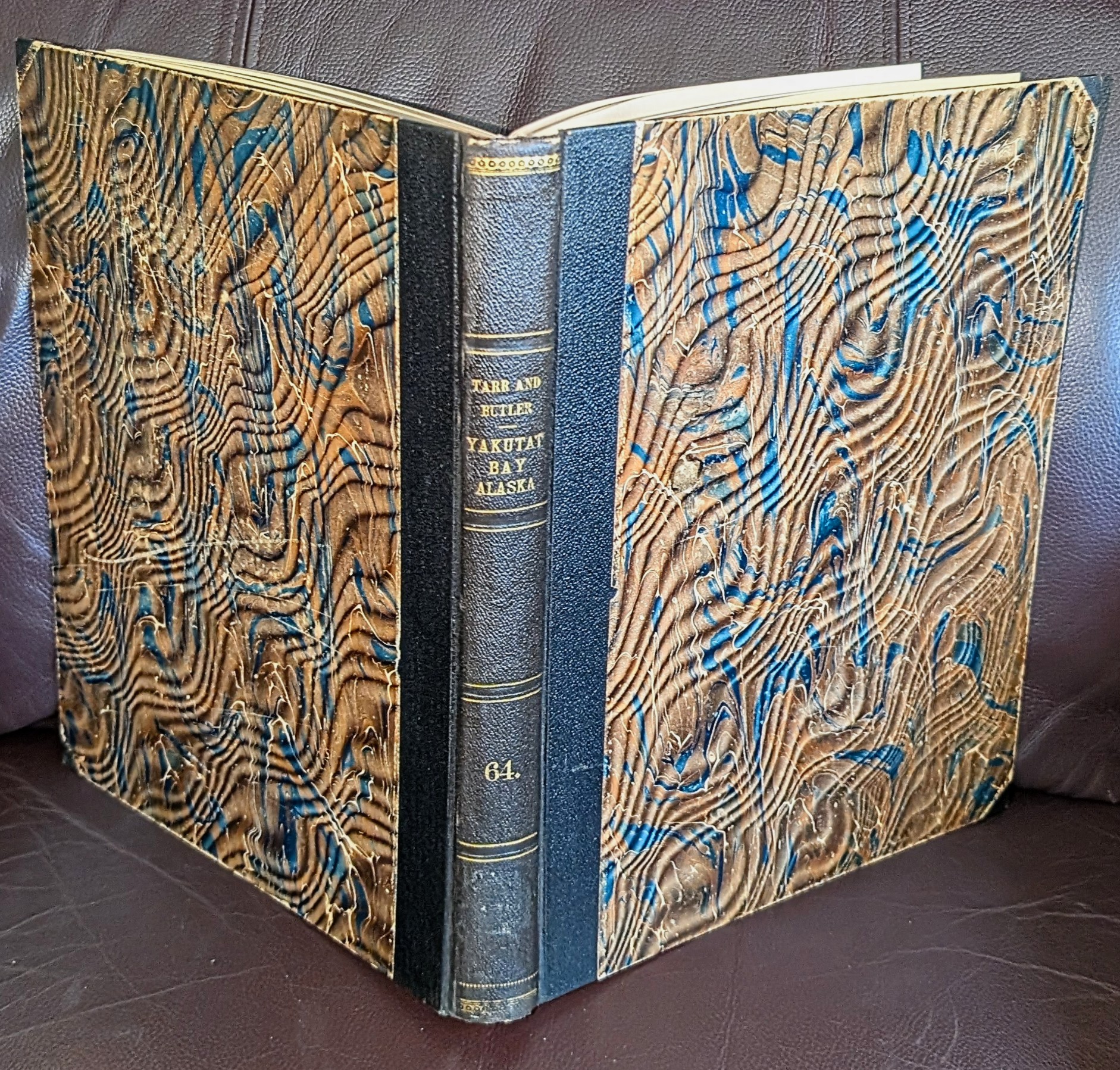 Image for United States Geological Survey - Professional Paper 64 - The Yakutat Bay Region, Alaska - Physiography And Glacial Geology By Ralph S. Tarr - Areal Geology By Ralph S. Tarr And Bert S. Butler. United States Geological Survey - Professional Paper 64 - The Yakutat Bay Region, Alaska - Physiography And Glacial Geology By Ralph S. Tarr - Areal Geology By Ralph S. Tarr And Bert S. Butler.