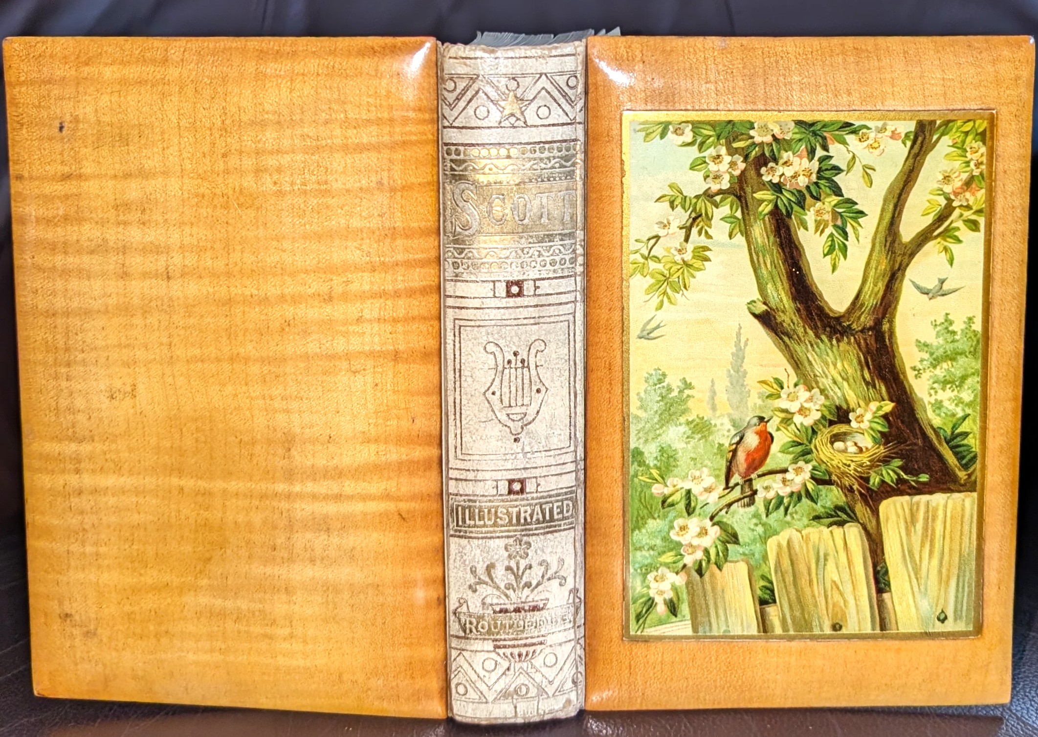 The Complete Poetical Works Of Sir Walter Scott. With Illustrations from Designs by J. M. W. Turner, R.A.