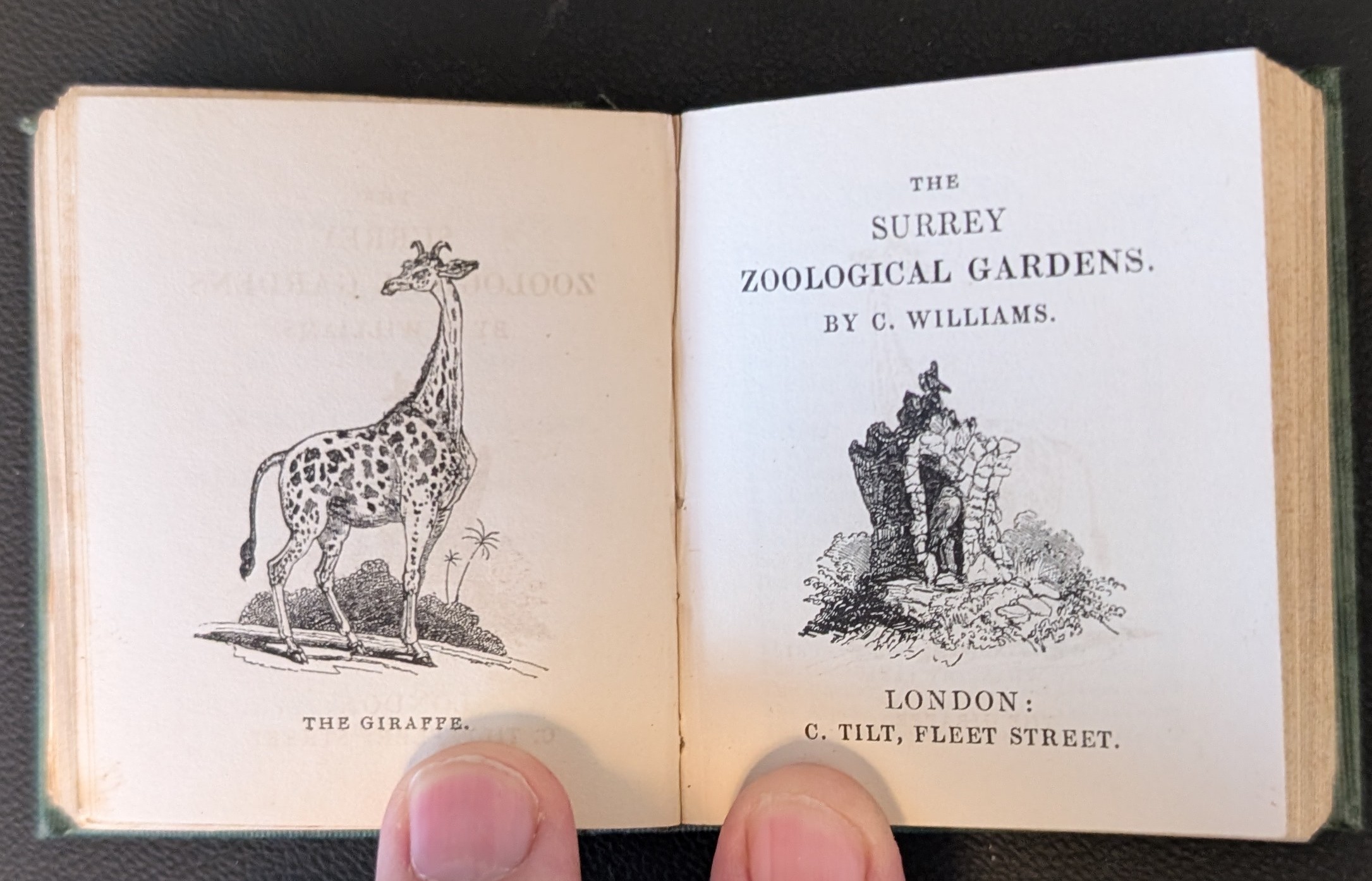 The Zoological Gardens, Regent's Park. [Bound with] The Surrey Zoological Gardens. By C. Williams.