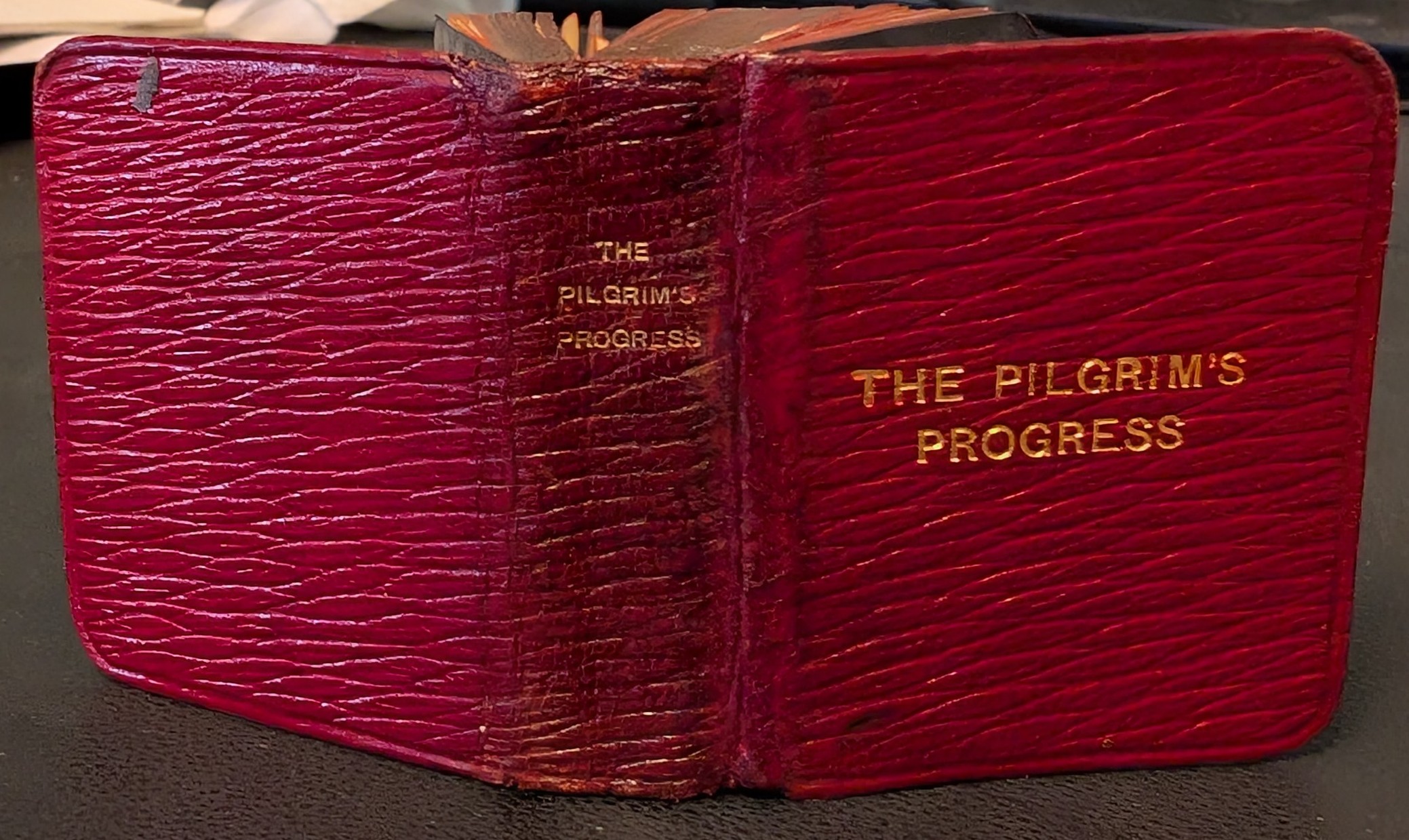 The Pilgrim's Progress: From This World To That Which Is To Come; Delivered Under The Similitude Of A Dream. By John Bunyan; Edited By Edmund Venables .
