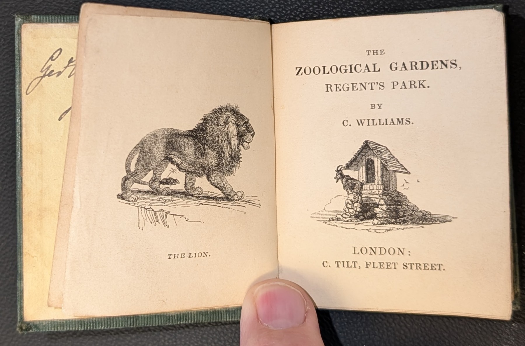 The Zoological Gardens, Regent's Park. By C. Williams.