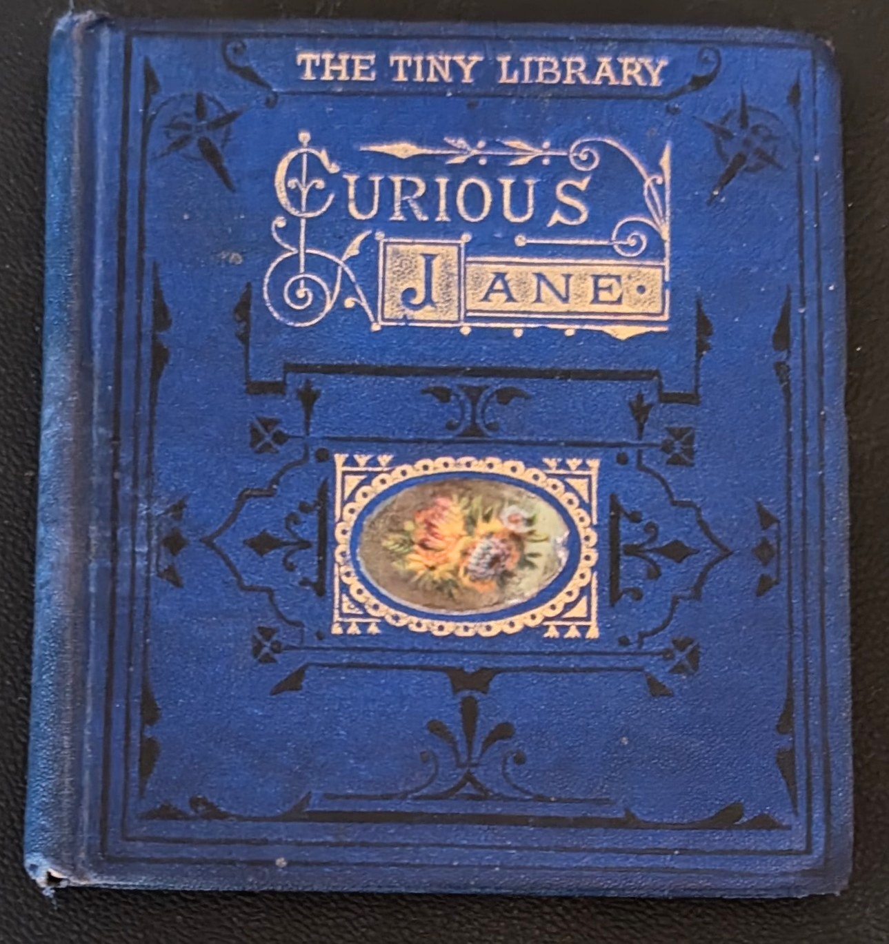 The Tiny Library - Curious Jane.