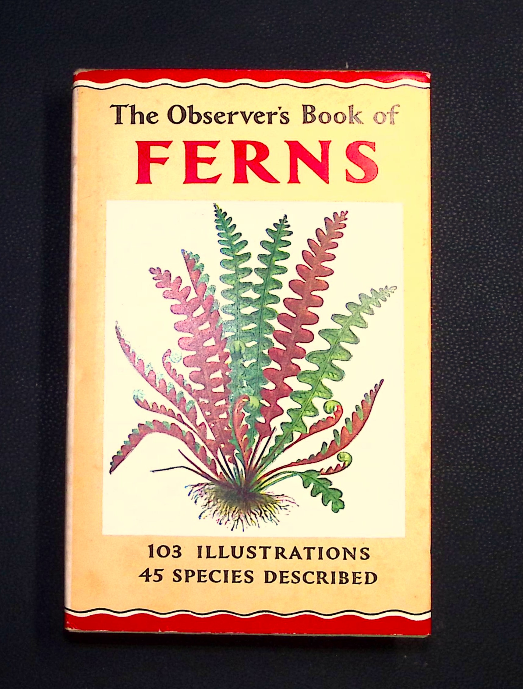 The Observer's Book of Ferns.