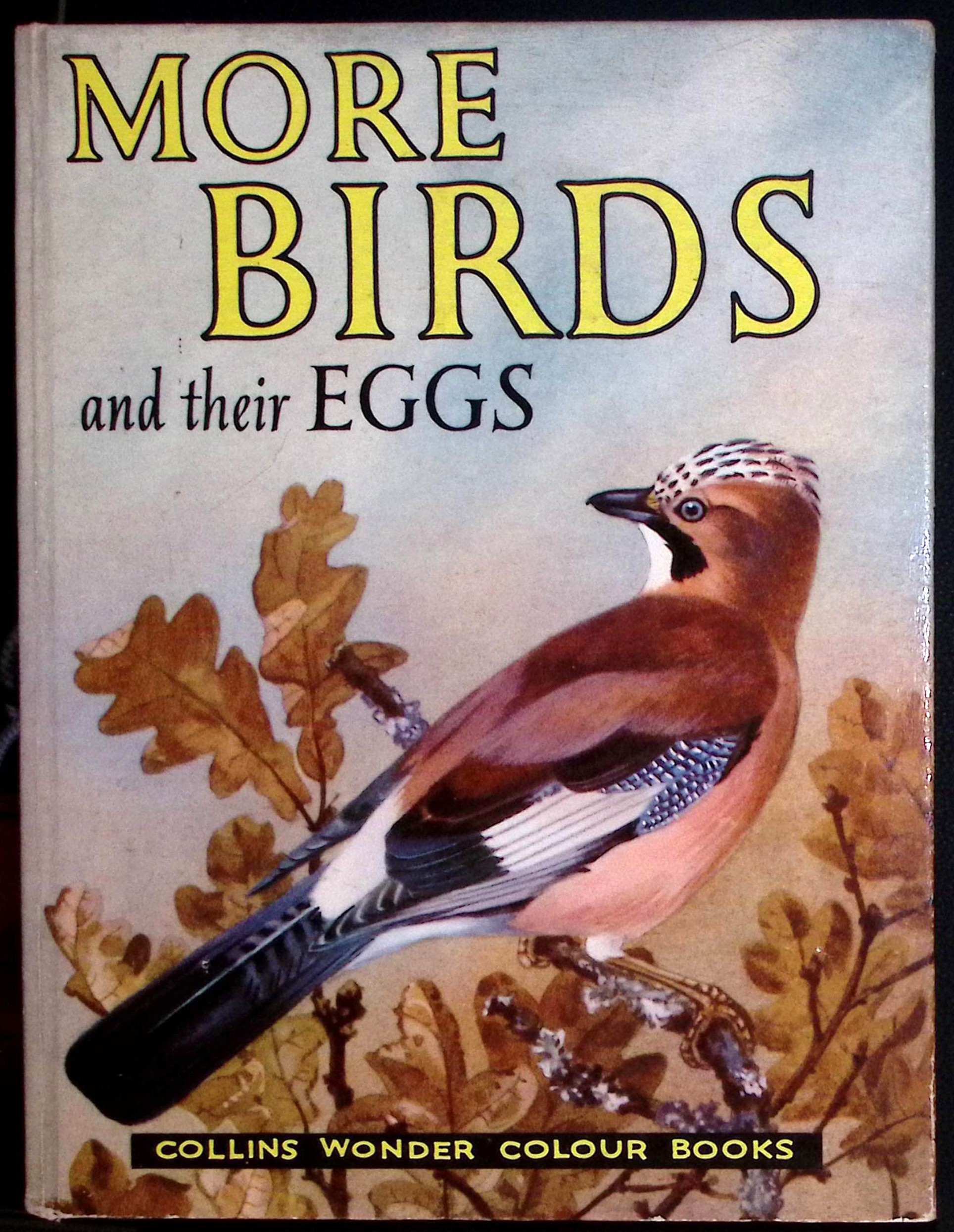 More Birds and Their Eggs. (Illustrated by Len Fullerton).