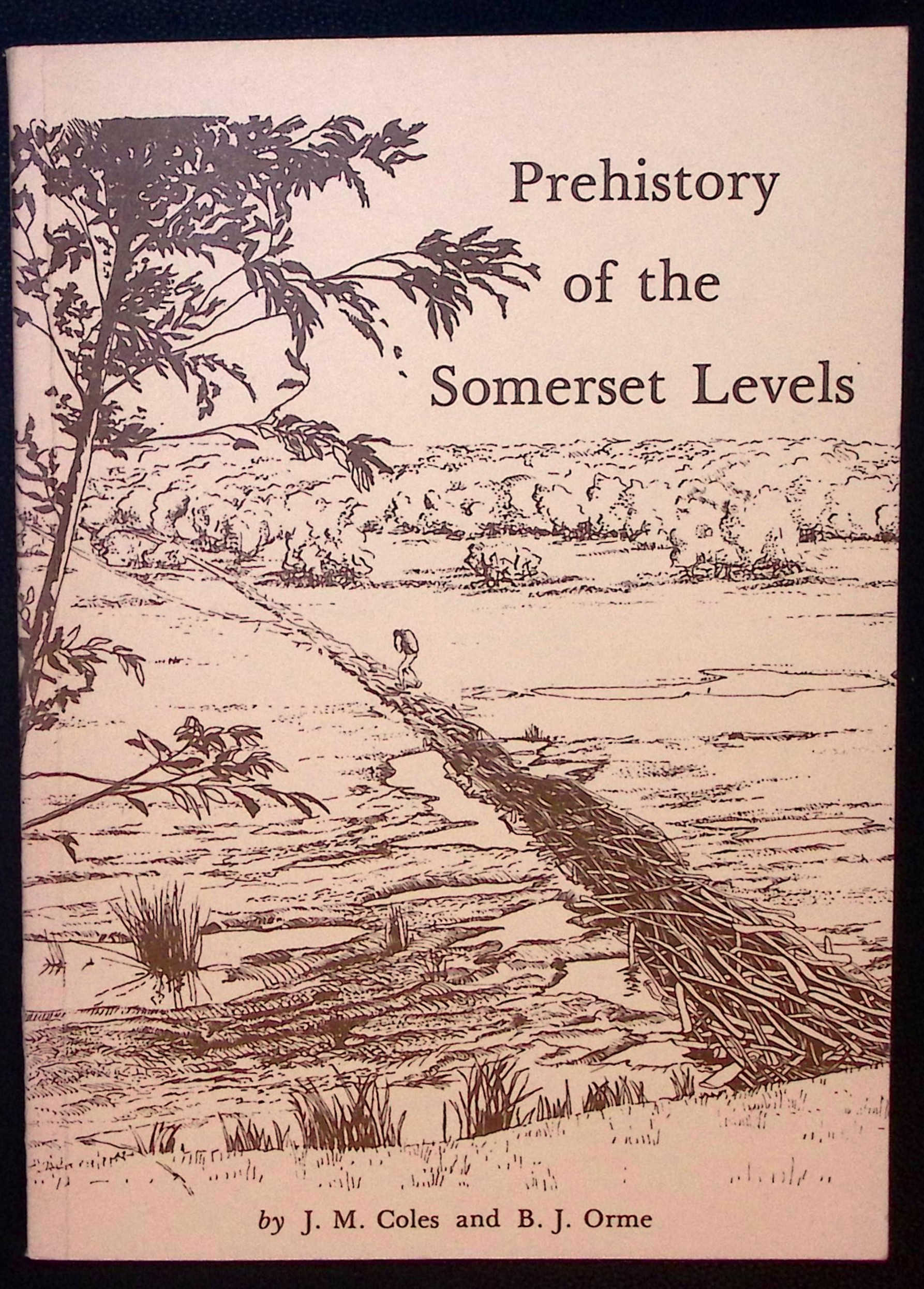 Prehistory of the Somerset Levels.