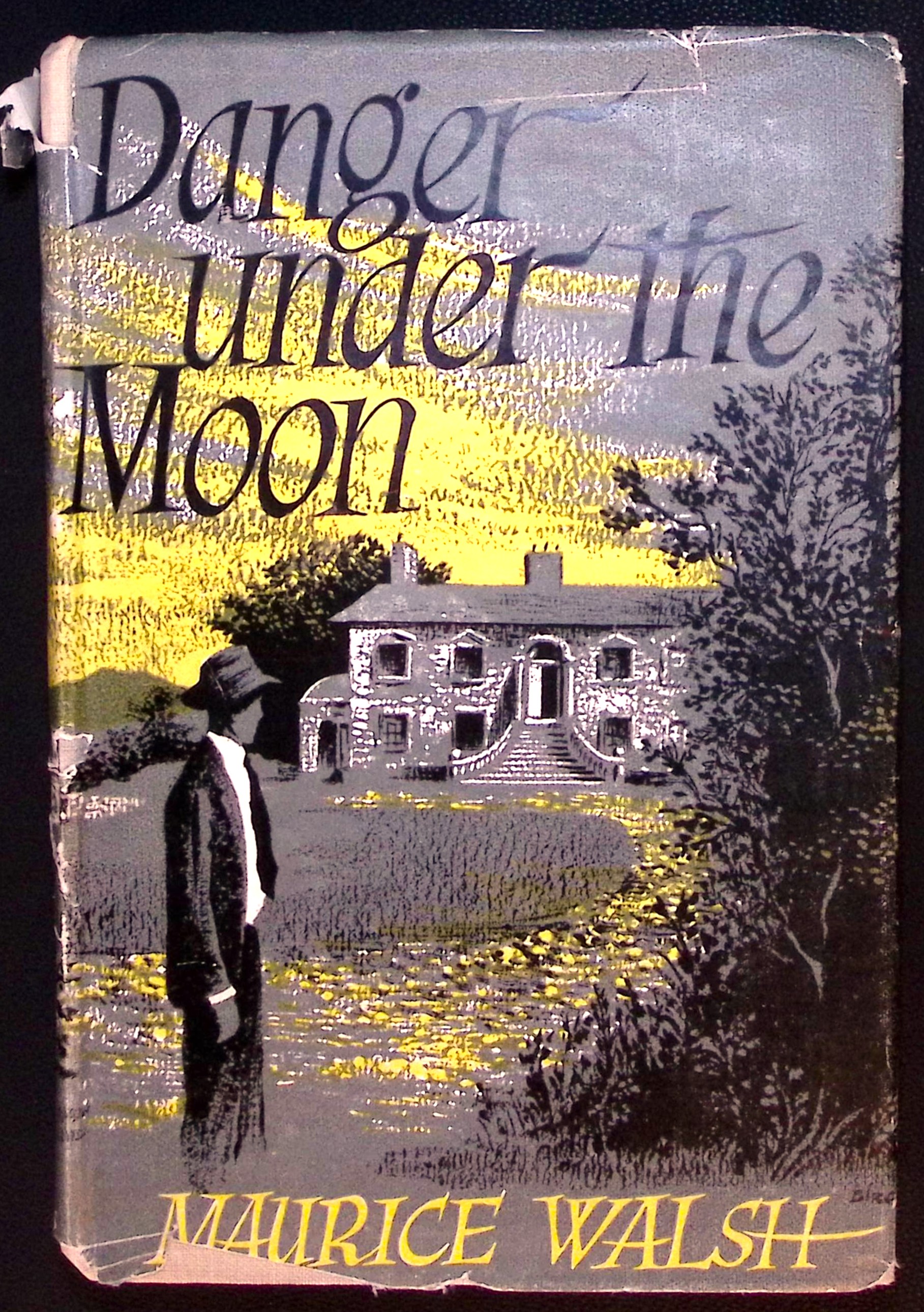 Danger Under the Moon.
