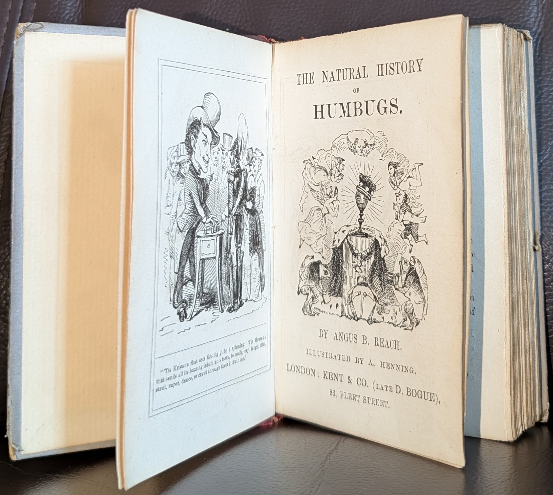 The Natural History Of Humbugs. By Angus B. Reach. Iillustrated By A. Henning .
