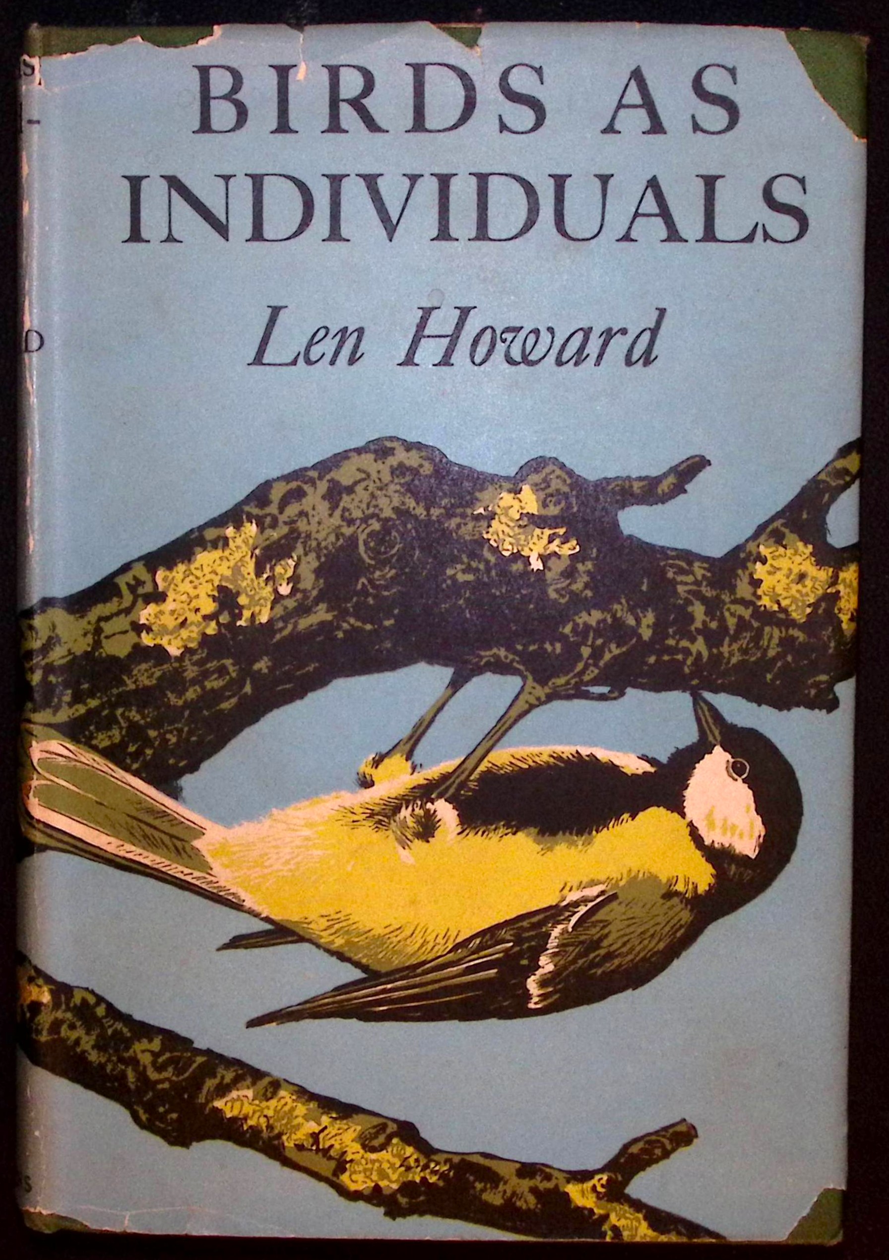 Birds as Individuals.