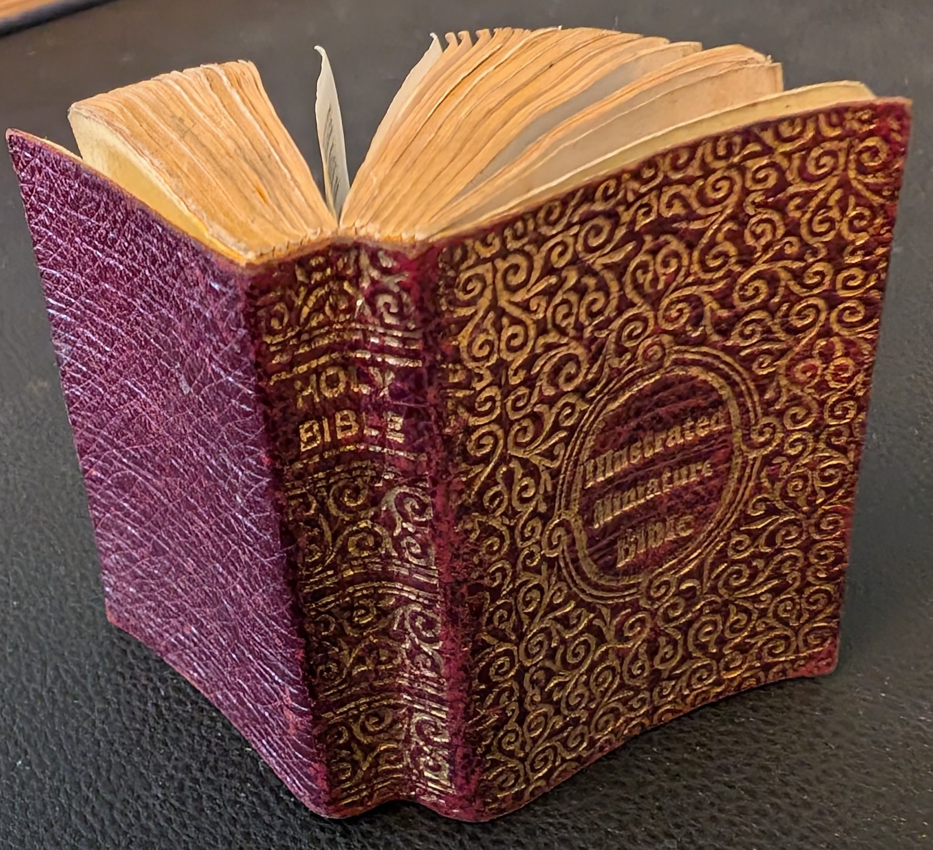 The Holy Bible Containing The Old And New Testaments: Translated Out of the Original Toungues, And With The Former Translations Diligently Compared And Revised. By His Majesty's Special Comand. Appointed To Be Read In Churches. Printed by Authority.