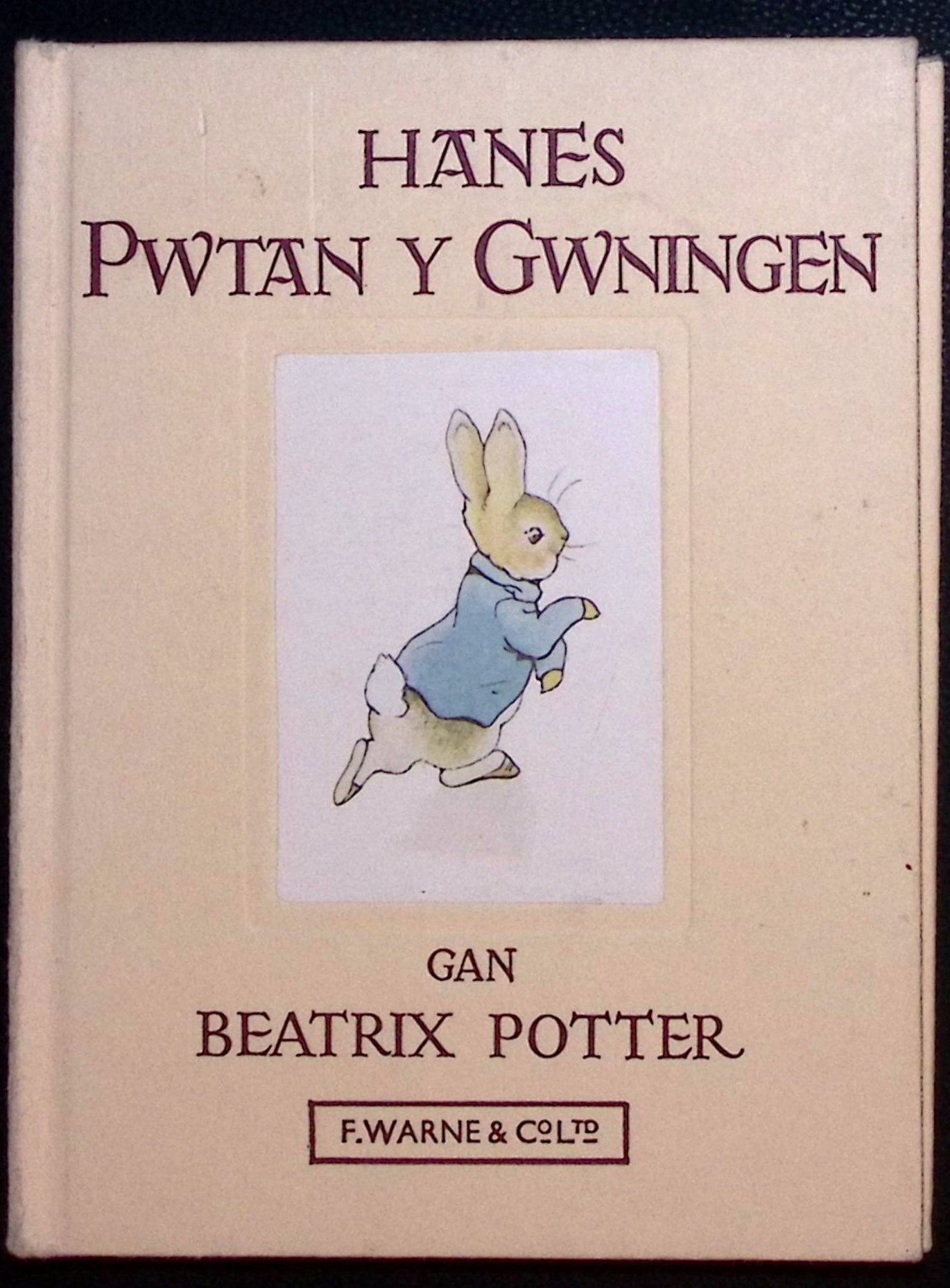 Hanes Pwtan Y Gwningen.