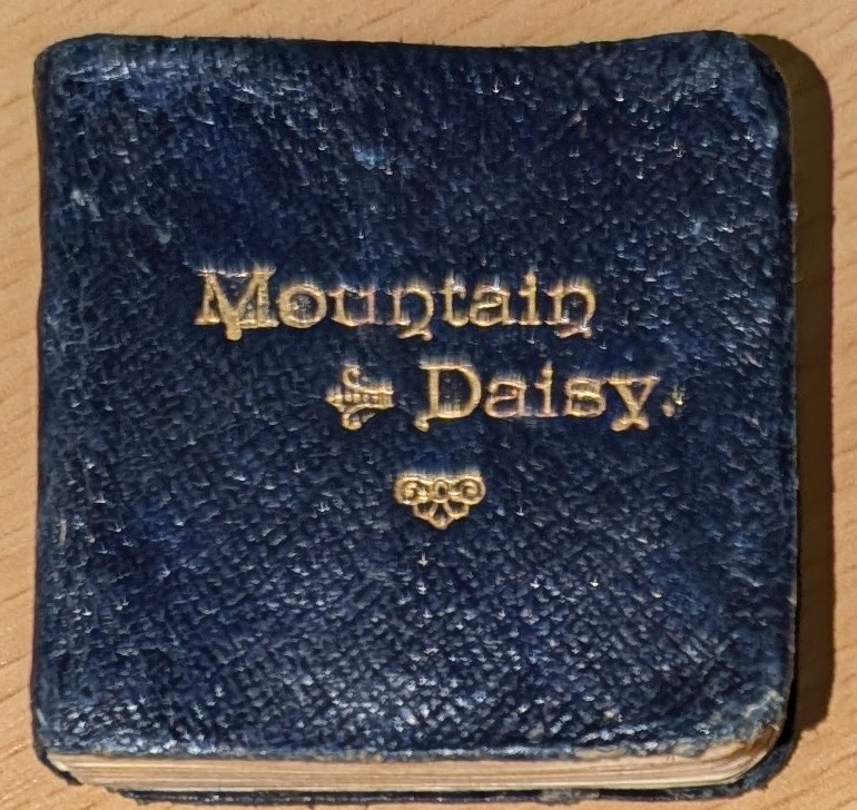 The Mountain Daisy. A Daily Text For A Year .