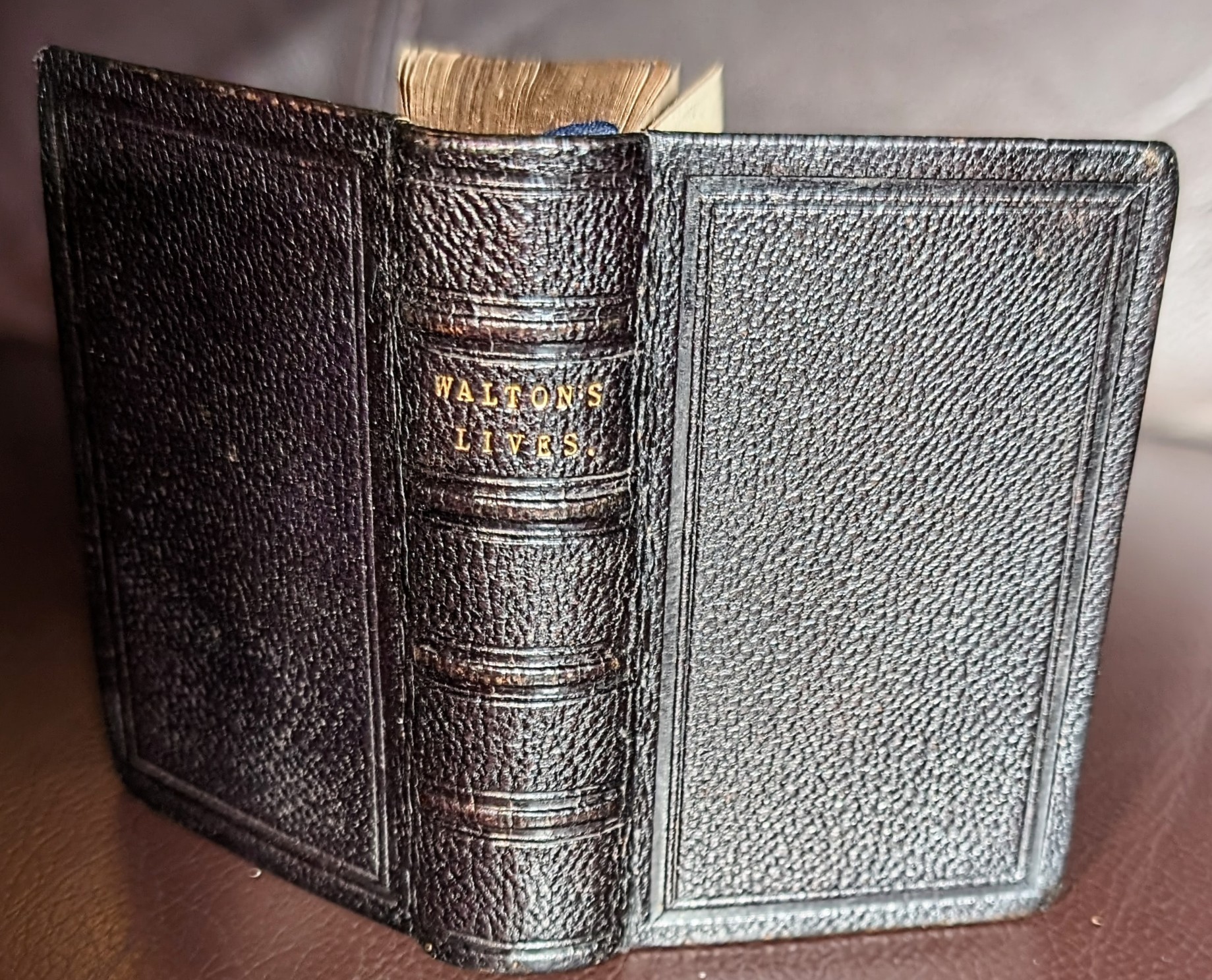 The Lives of Donne, Wotton, Hooker, Herbert and Sanderson. Written By Isaak Walton.