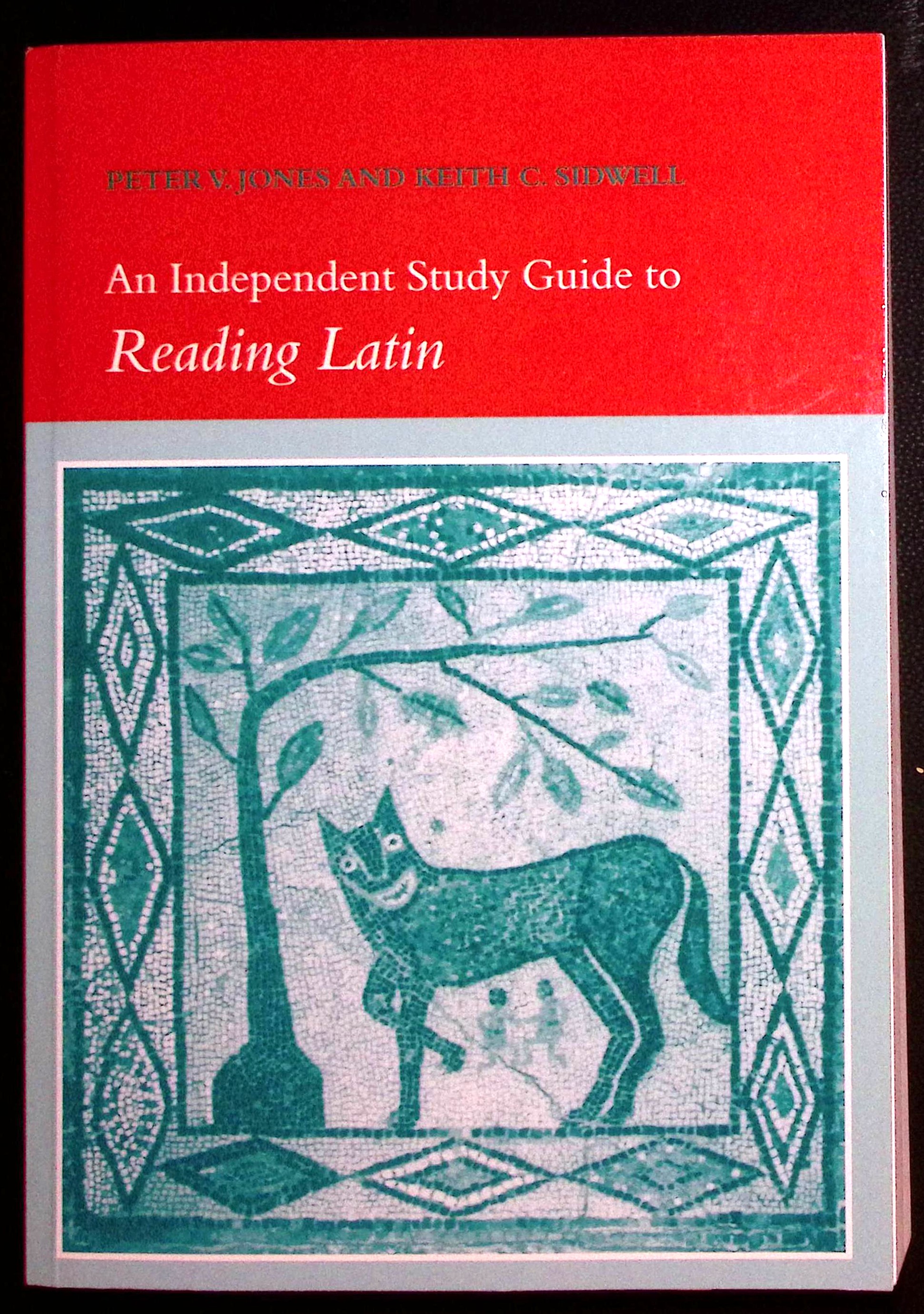 An Independent Study Guide to Reading Latin.