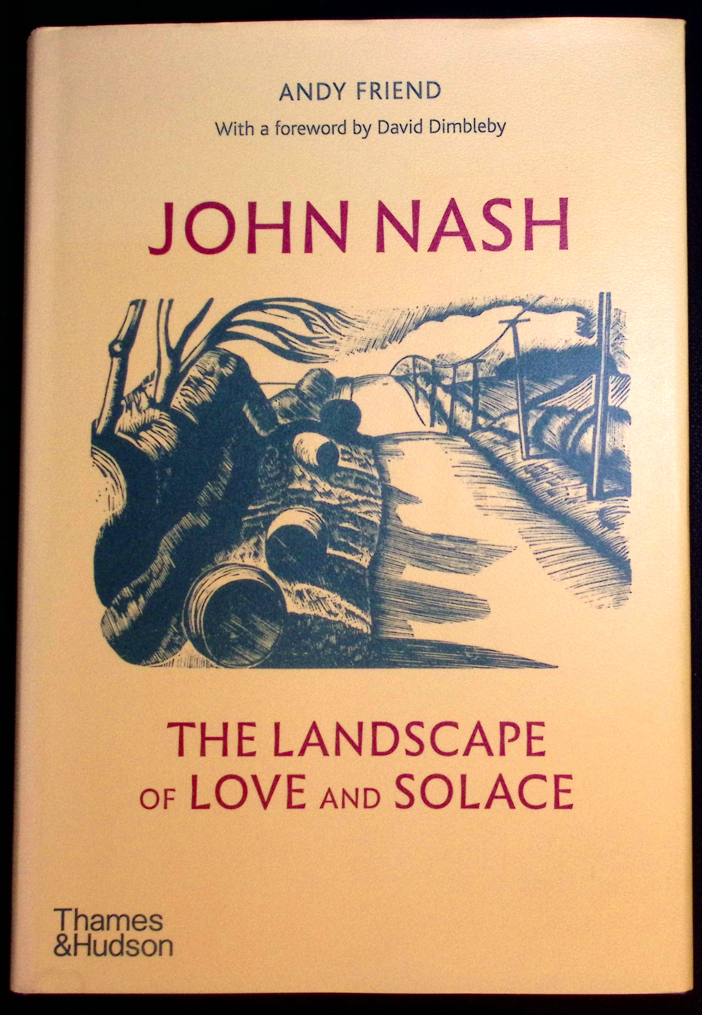 John Nash. The Landscape of Love and Solace.