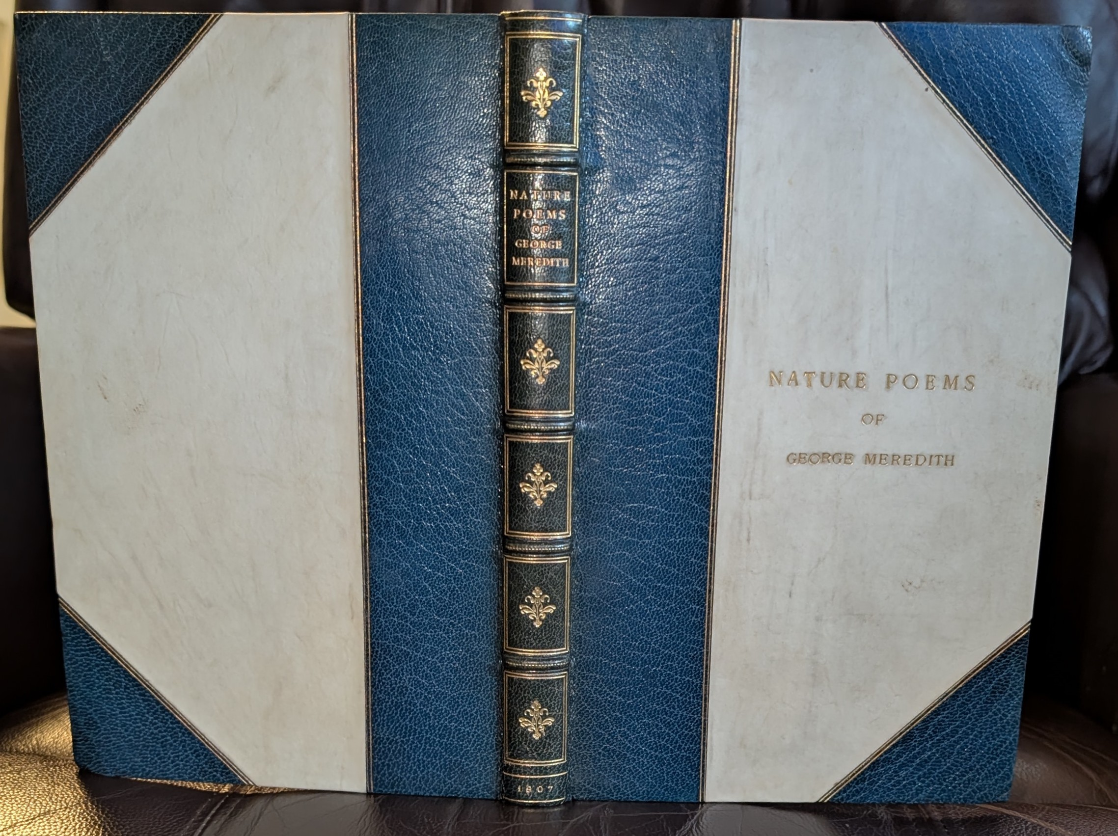 Nature Poems Of George Meredith With Sixteen Full-Page Pictures In Photogravure By William Hyde.