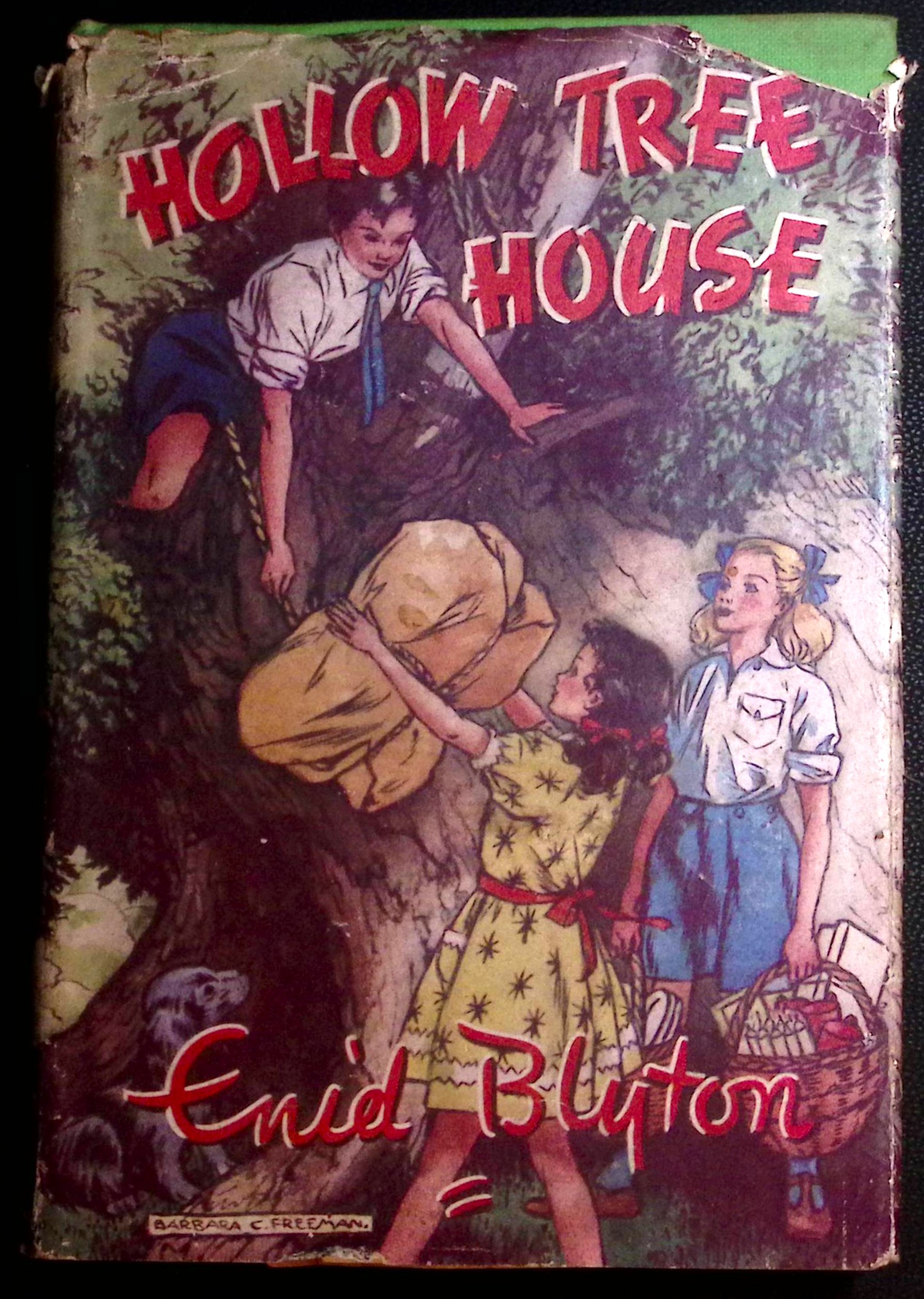 Image for Hollow Tree House. Hollow Tree House.